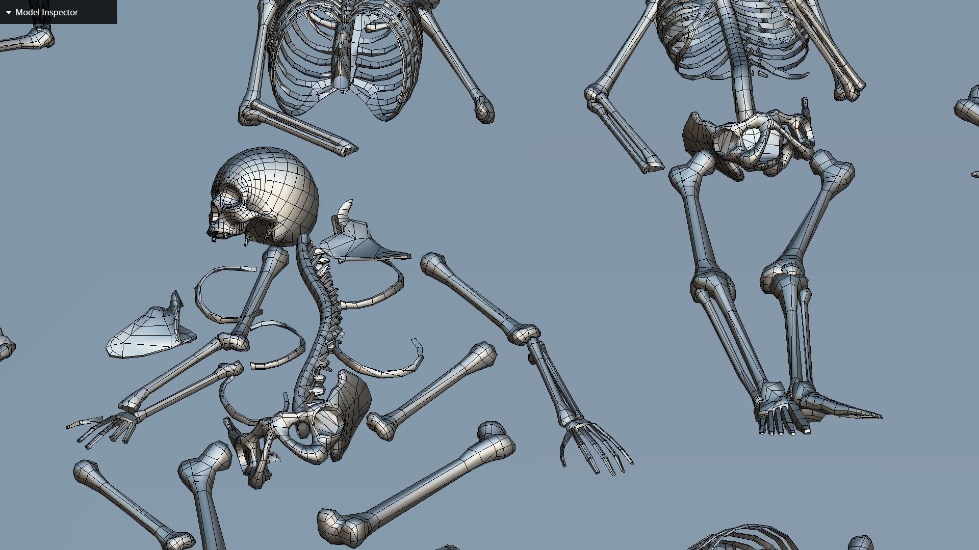 remains skeleton bone big pack 3d model Low-poly 3D model_48