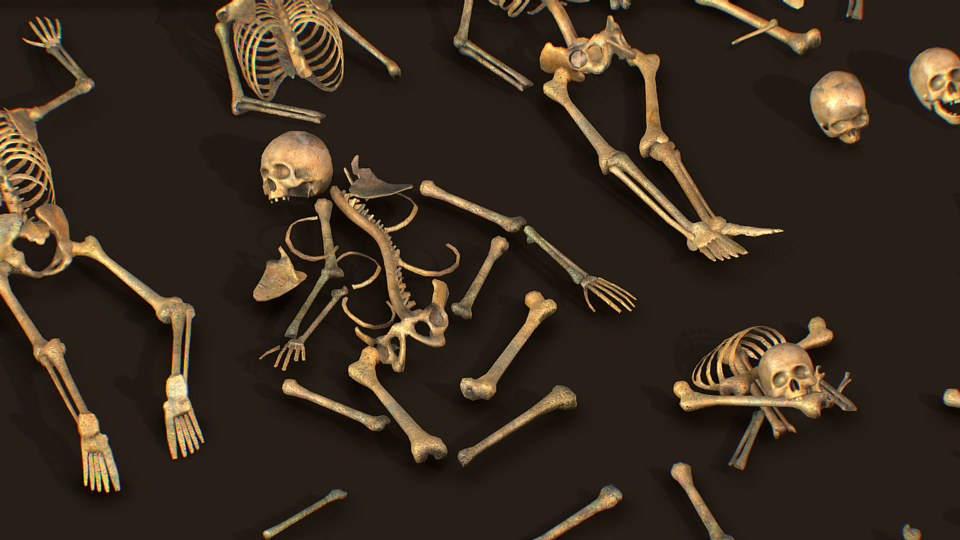 remains skeleton bone big pack 3d model Low-poly 3D model_21