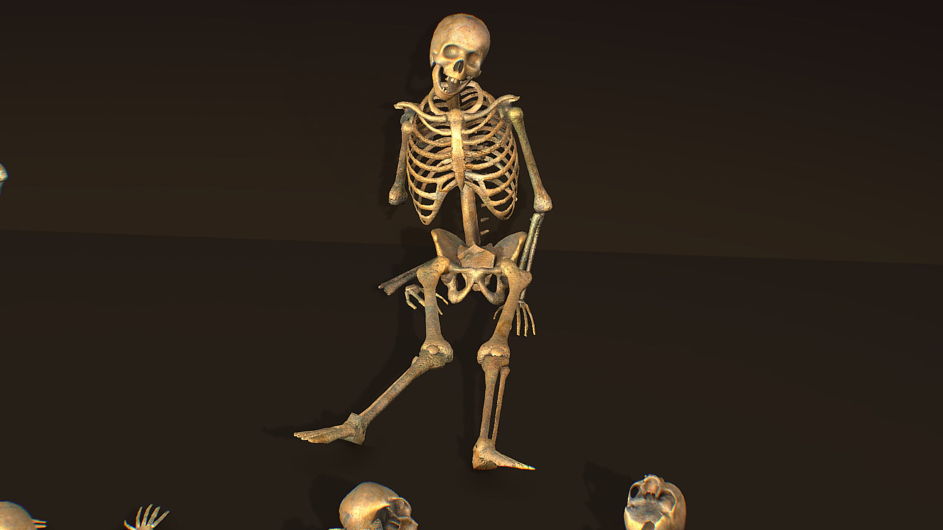 remains skeleton bone big pack 3d model Low-poly 3D model_12