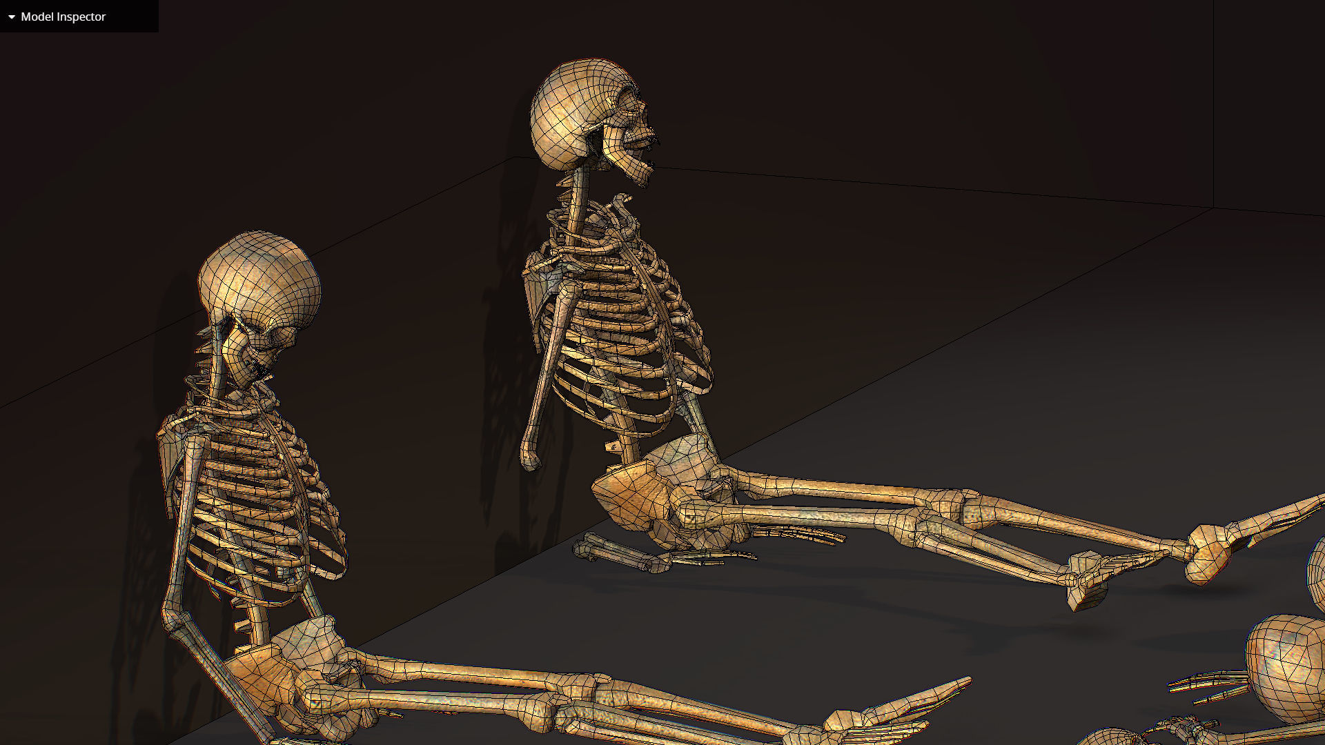 remains skeleton bone big pack 3d model Low-poly 3D model_28