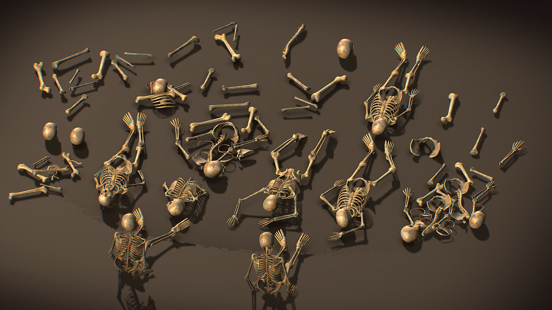 remains skeleton bone big pack 3d model Low-poly 3D model_7