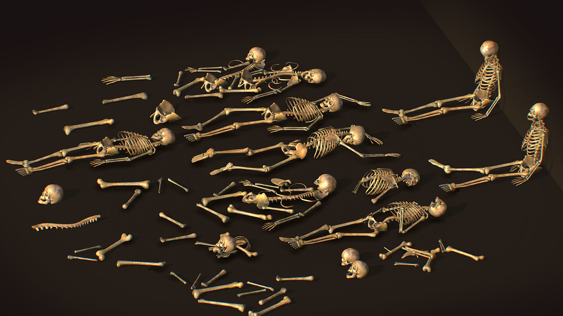 remains skeleton bone big pack 3d model Low-poly 3D model_5