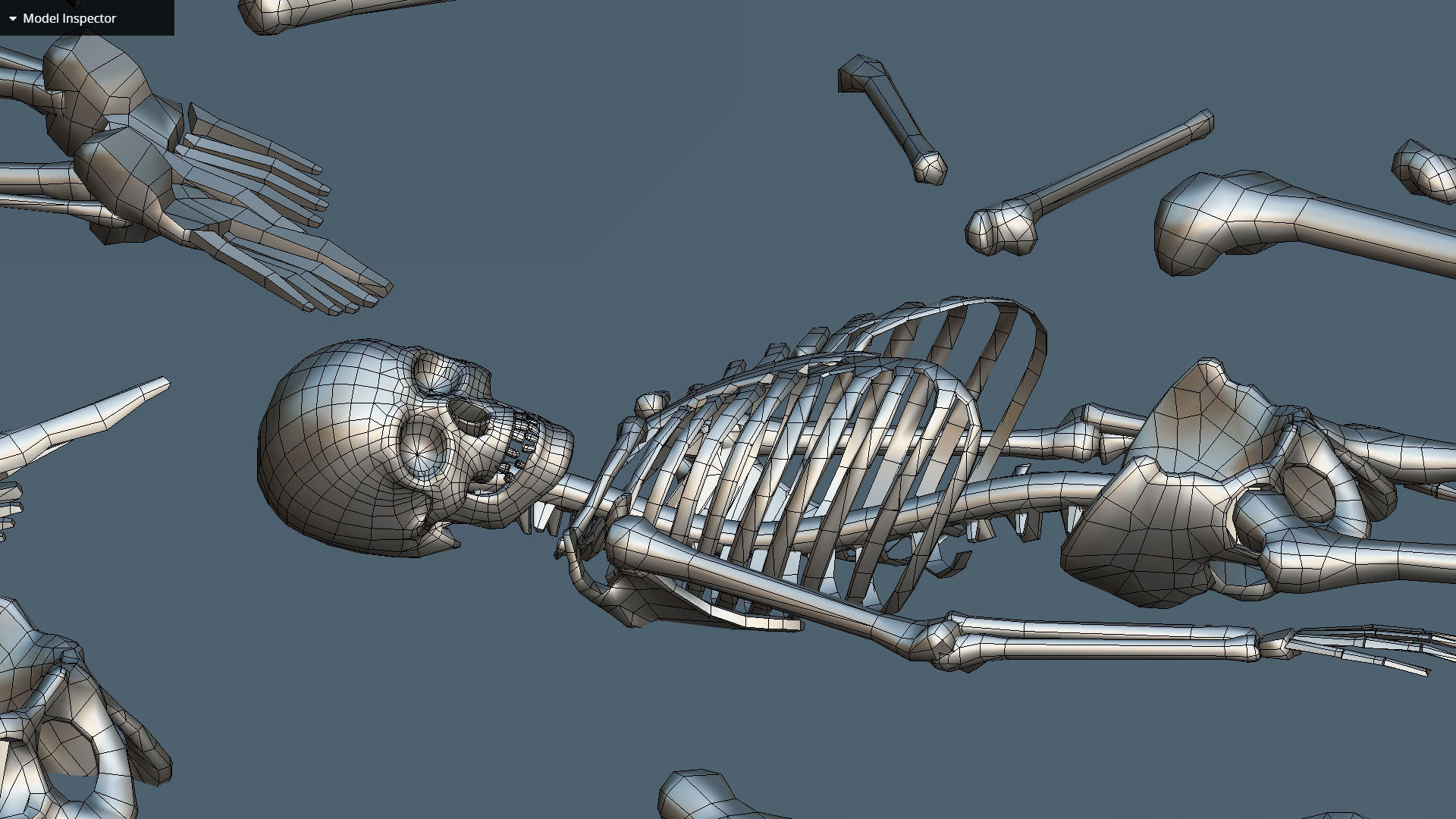 remains skeleton bone big pack 3d model Low-poly 3D model_50