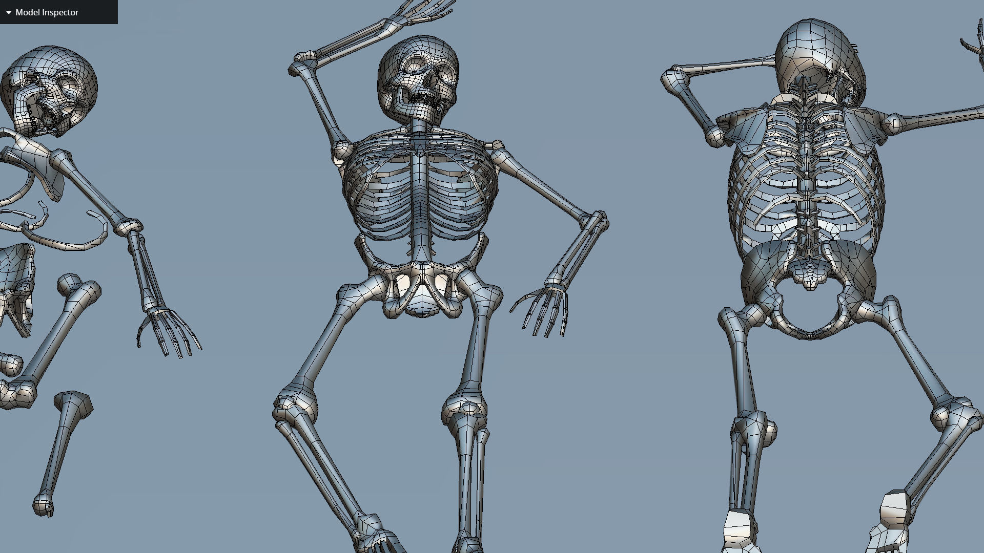 remains skeleton bone big pack 3d model Low-poly 3D model_43