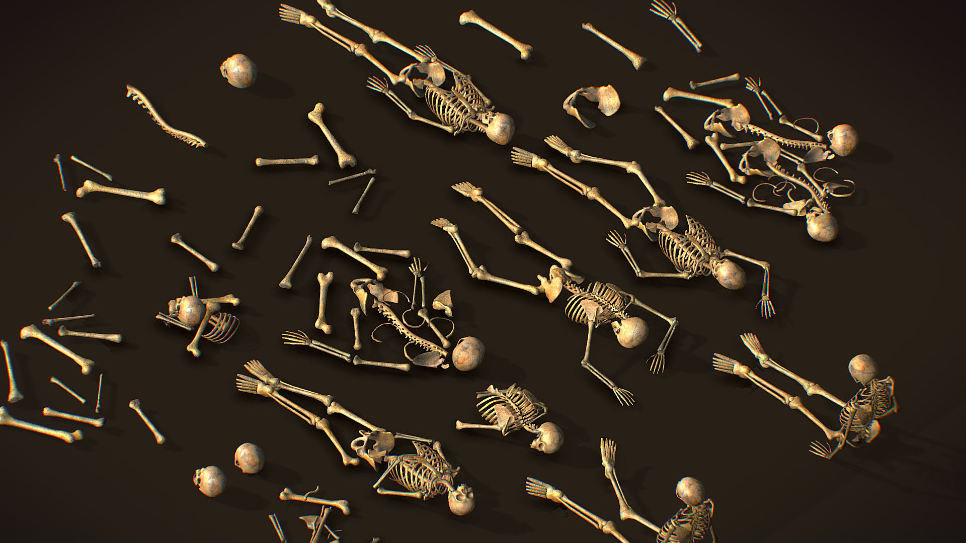 remains skeleton bone big pack 3d model Low-poly 3D model_9