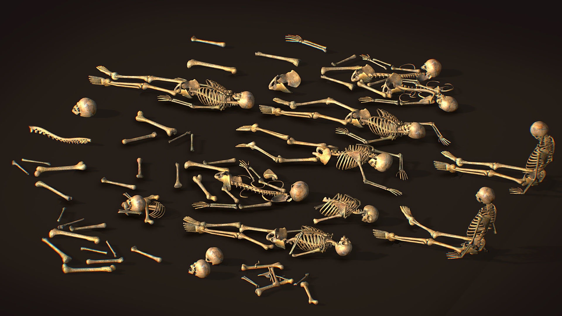 remains skeleton bone big pack 3d model Low-poly 3D model_4