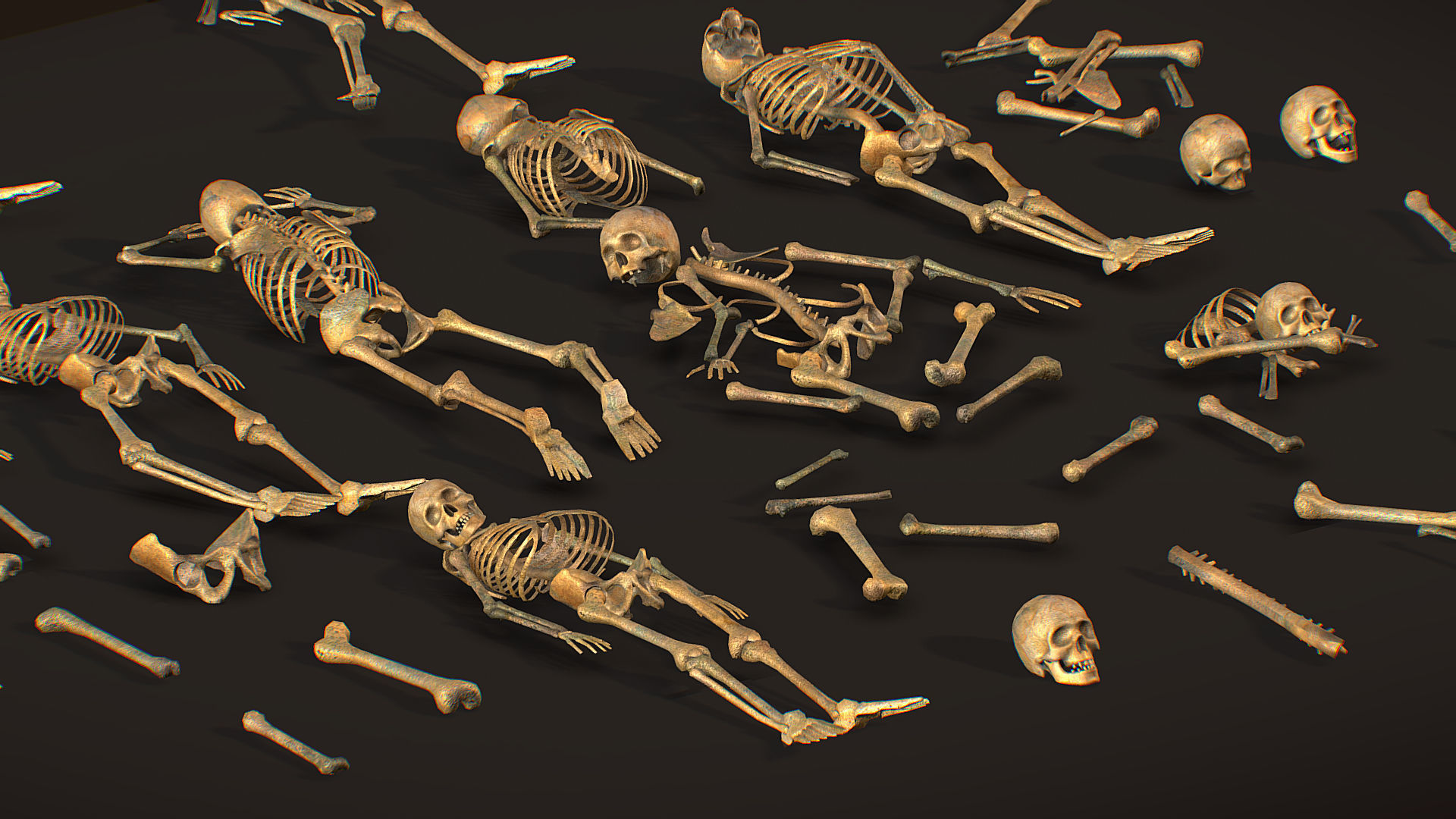 remains skeleton bone big pack 3d model Low-poly 3D model_26