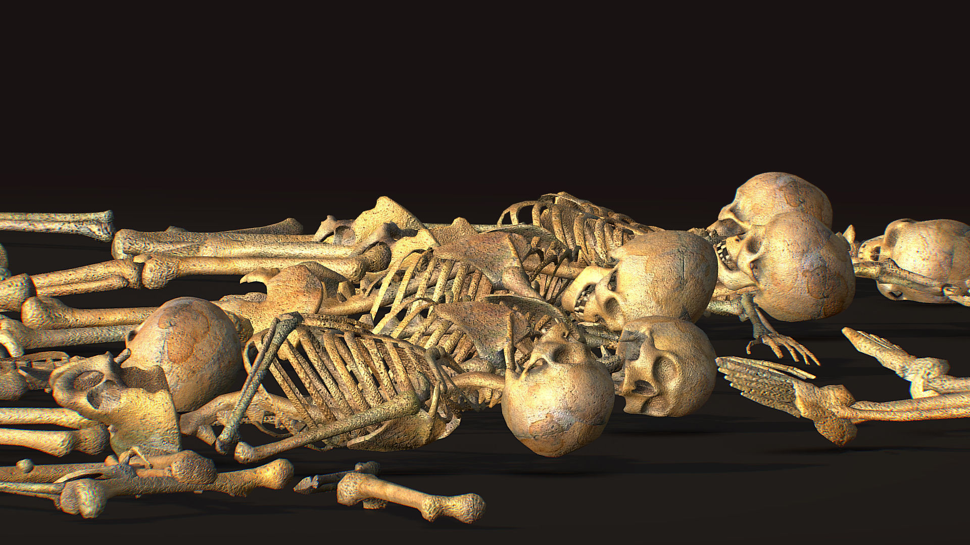 remains skeleton bone big pack 3d model Low-poly 3D model_24