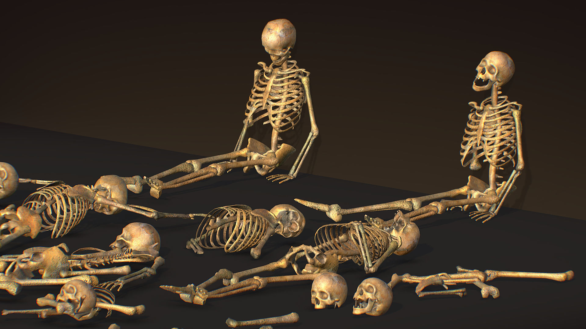 remains skeleton bone big pack 3d model Low-poly 3D model_23