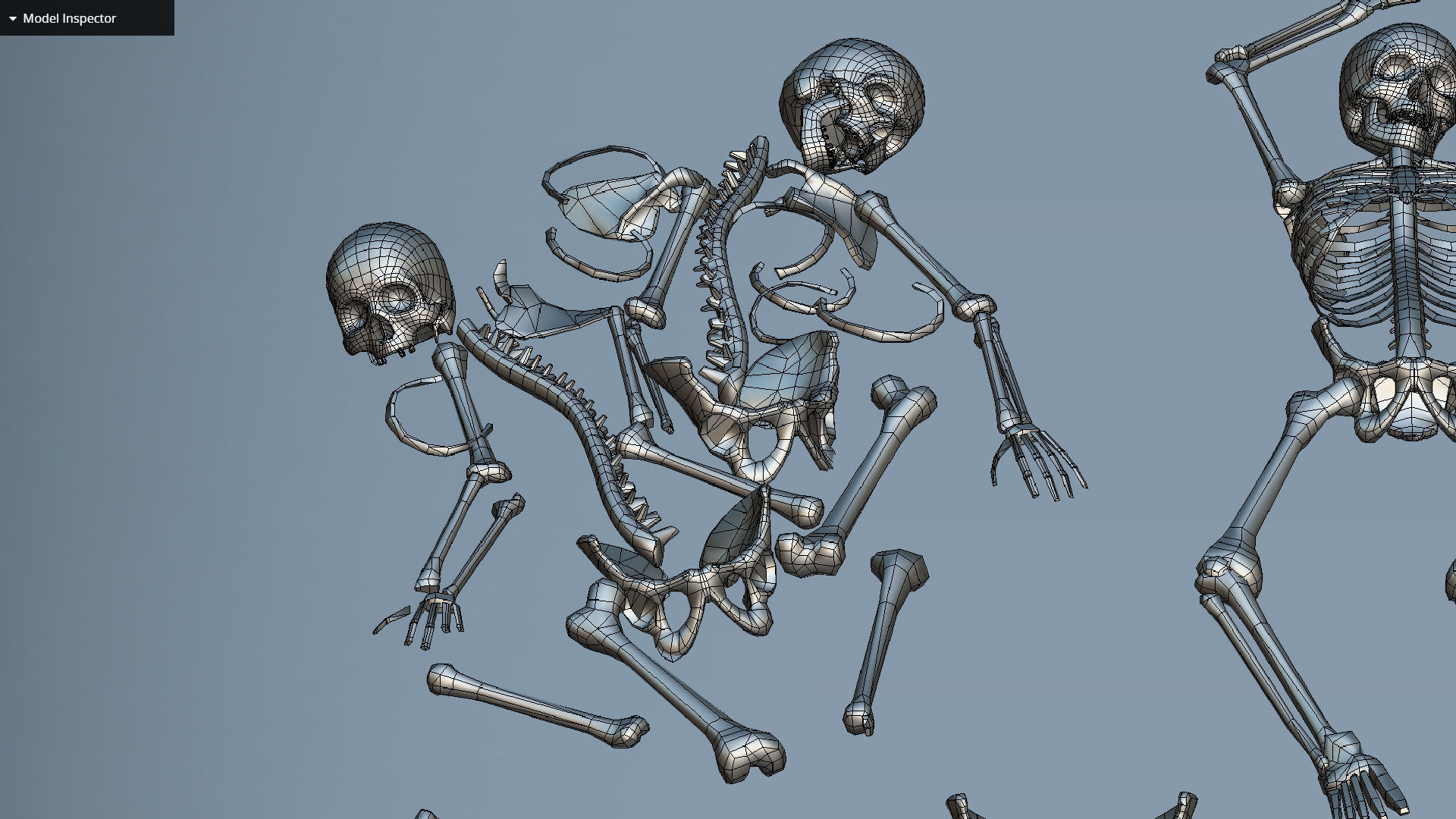 remains skeleton bone big pack 3d model Low-poly 3D model_46