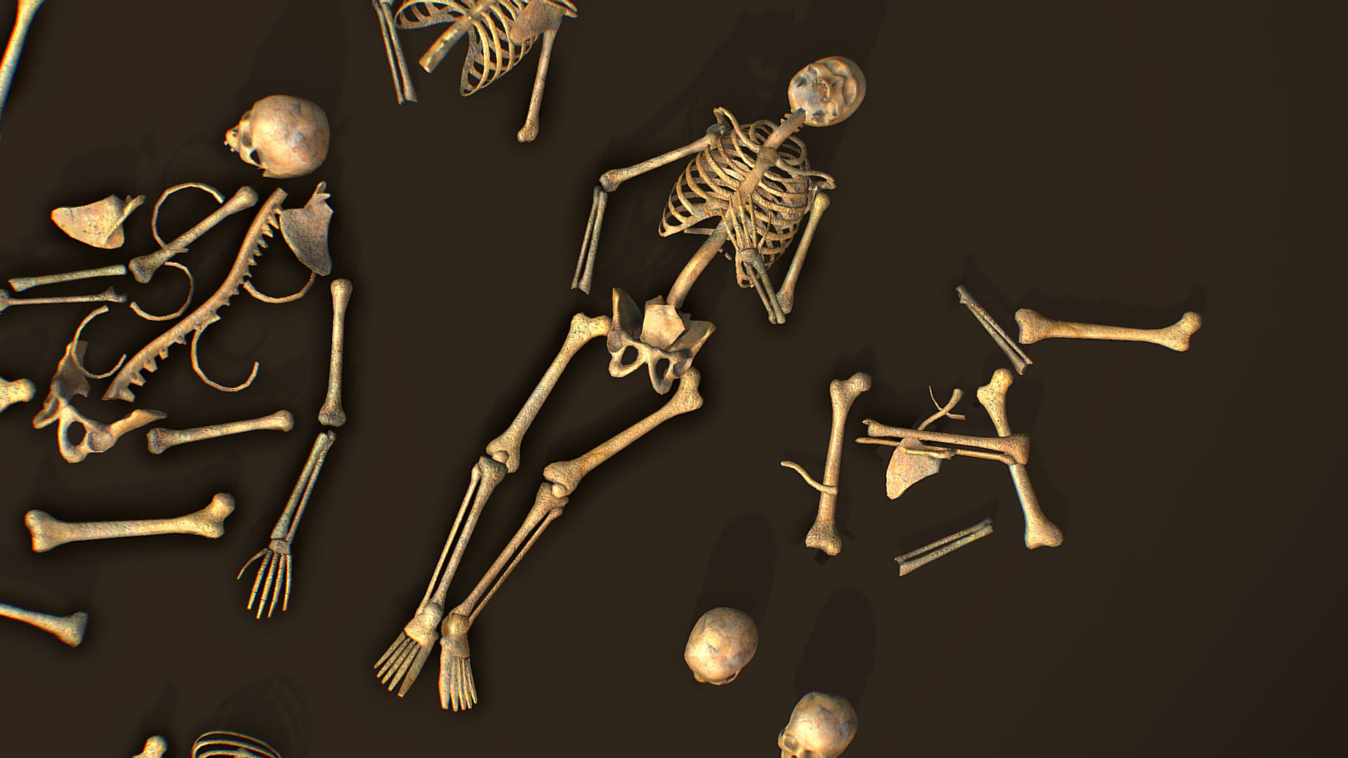 remains skeleton bone big pack 3d model Low-poly 3D model_13