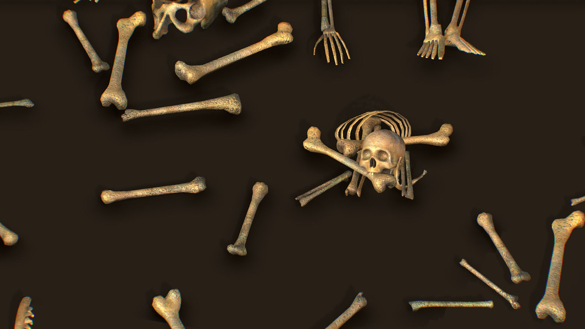 remains skeleton bone big pack 3d model Low-poly 3D model_14