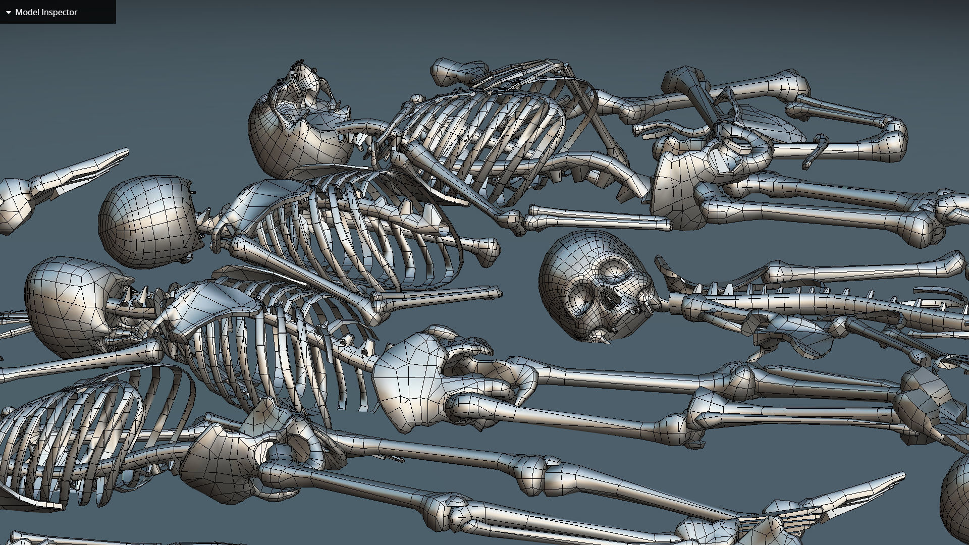 remains skeleton bone big pack 3d model Low-poly 3D model_41