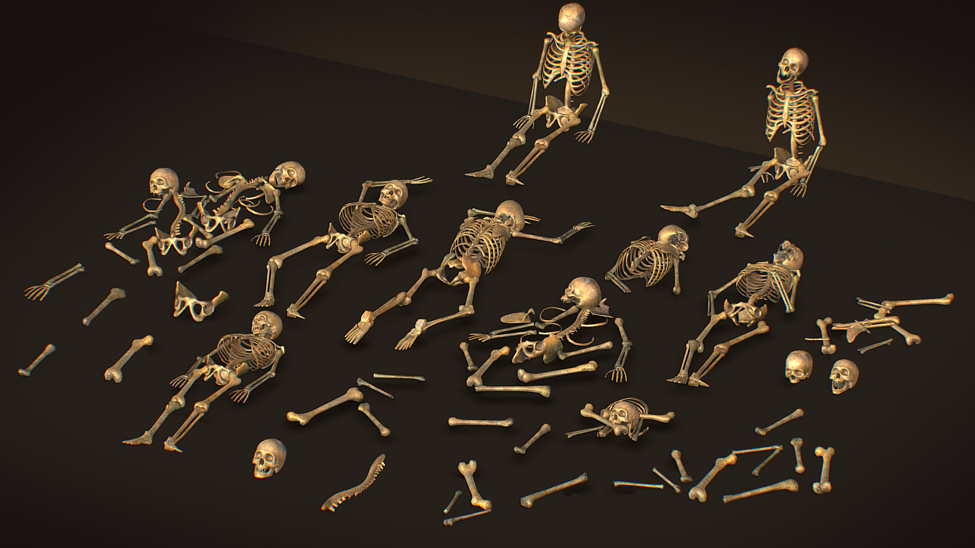 remains skeleton bone big pack 3d model Low-poly 3D model_2