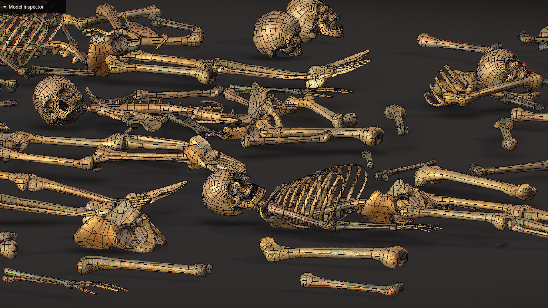 remains skeleton bone big pack 3d model Low-poly 3D model_33