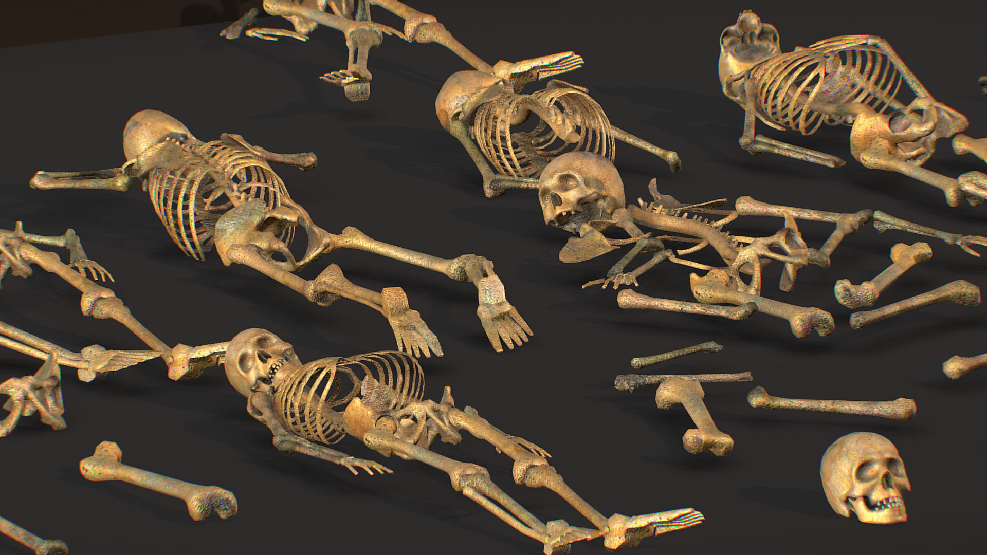 remains skeleton bone big pack 3d model Low-poly 3D model_19