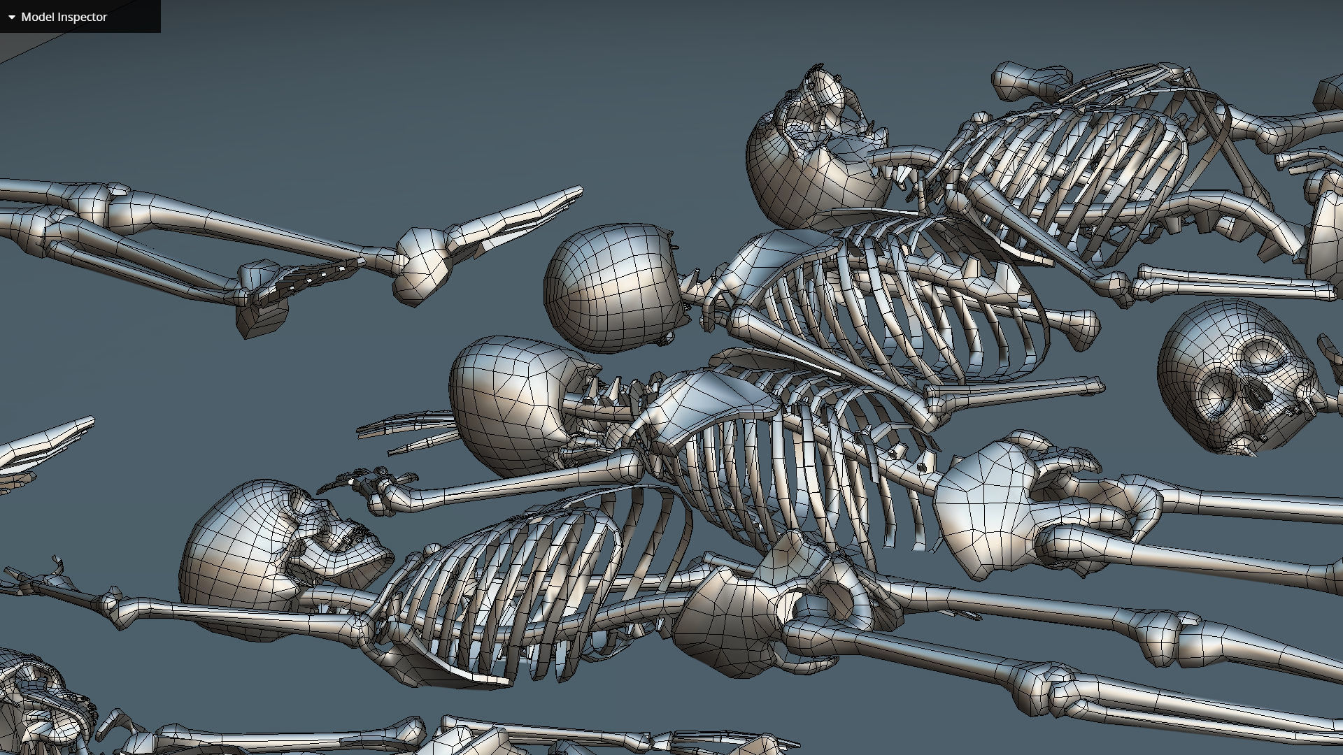 remains skeleton bone big pack 3d model Low-poly 3D model_42