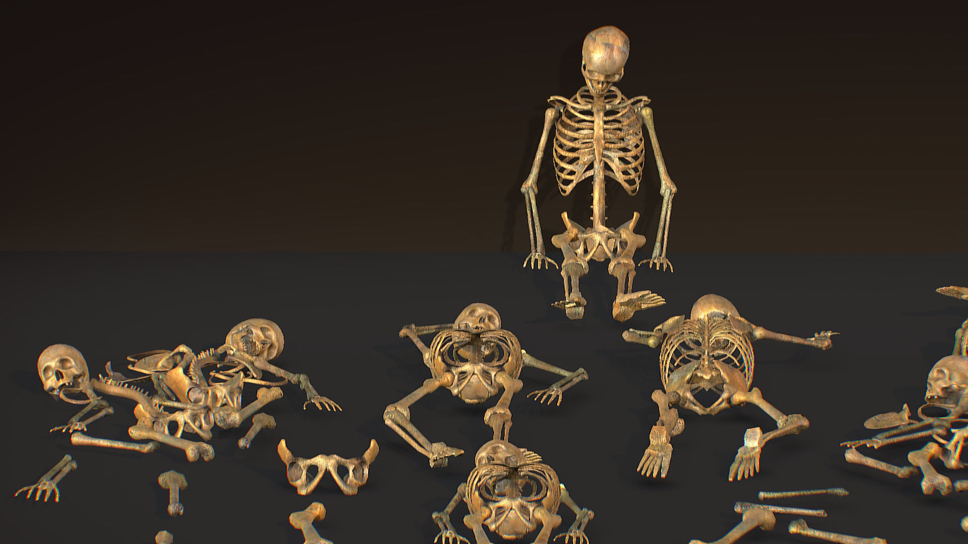 remains skeleton bone big pack 3d model Low-poly 3D model_20