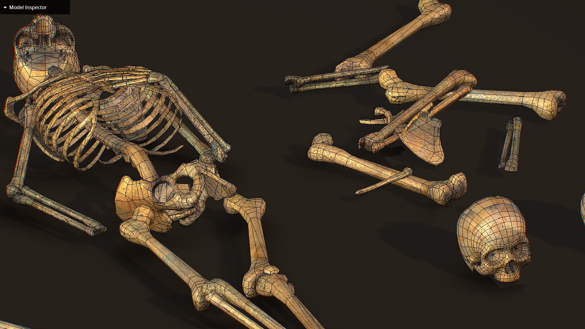 remains skeleton bone big pack 3d model Low-poly 3D model_29