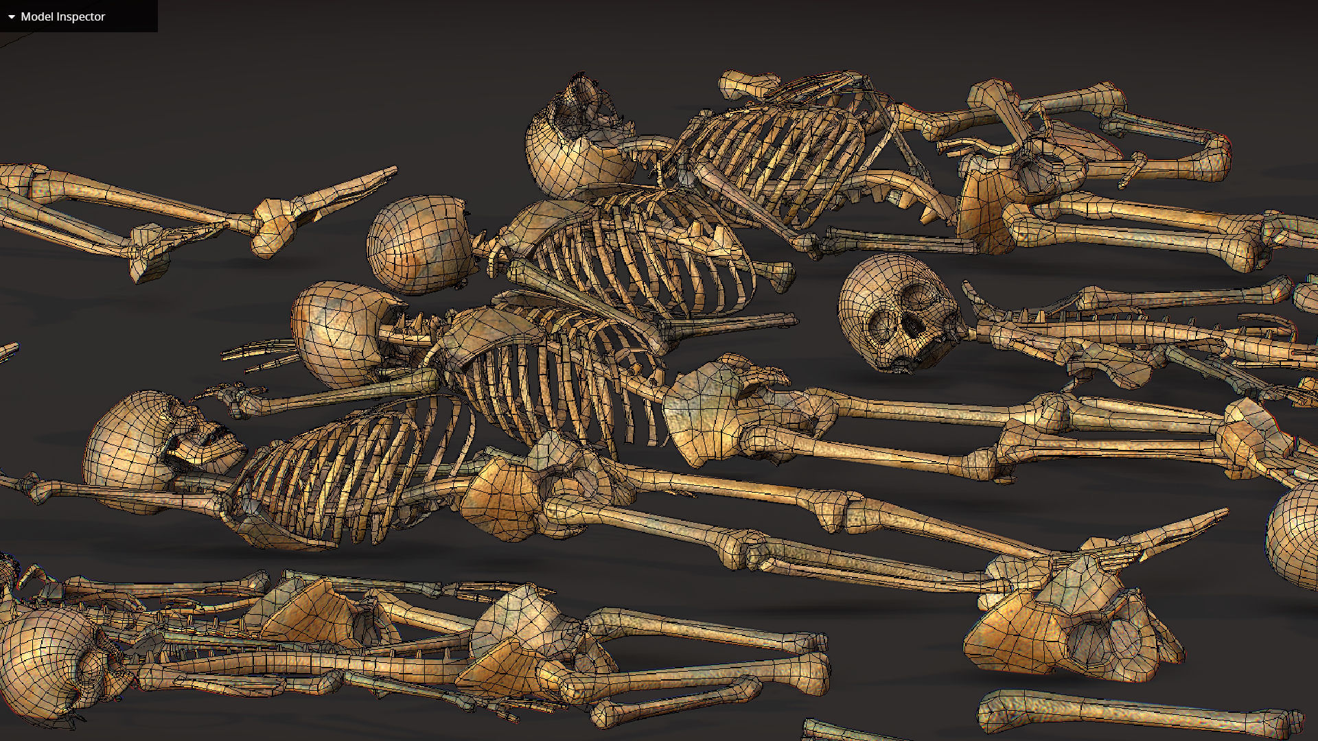 remains skeleton bone big pack 3d model Low-poly 3D model_36