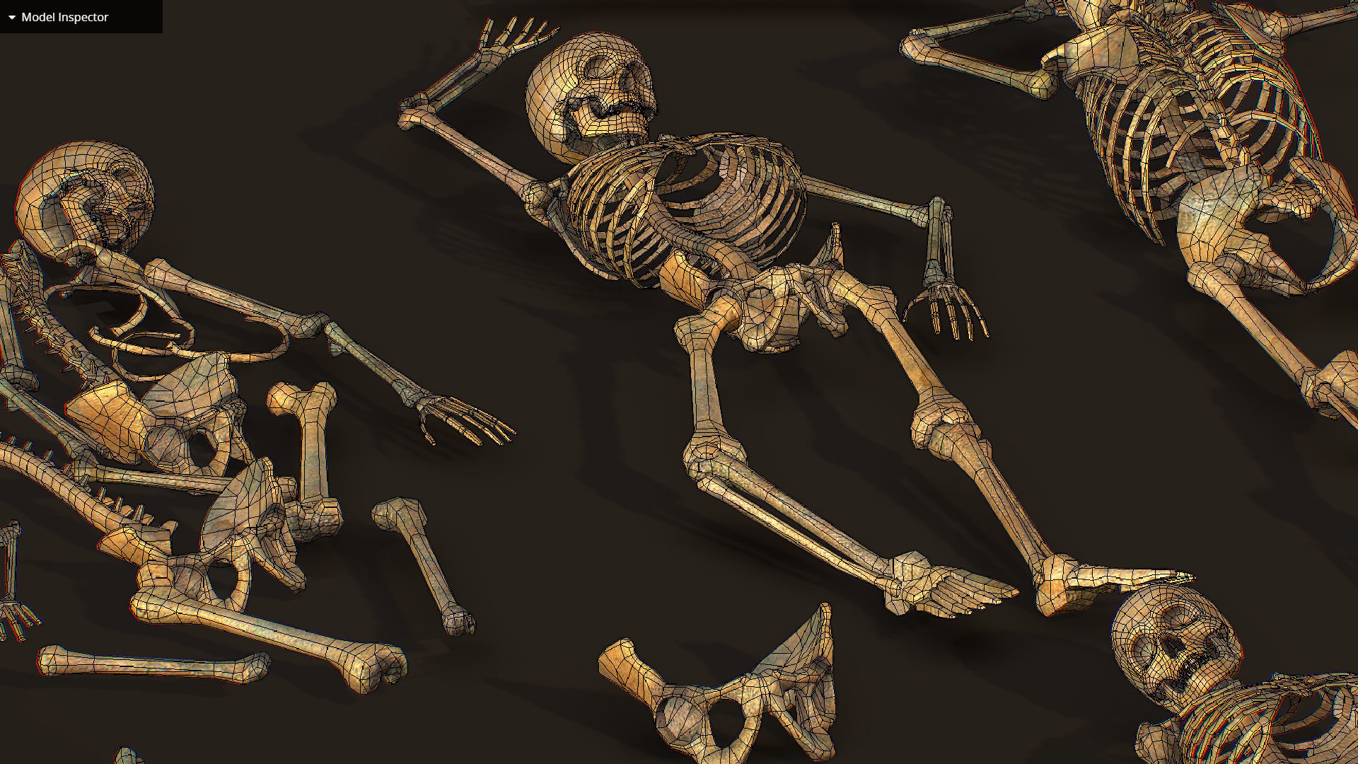 remains skeleton bone big pack 3d model Low-poly 3D model_32