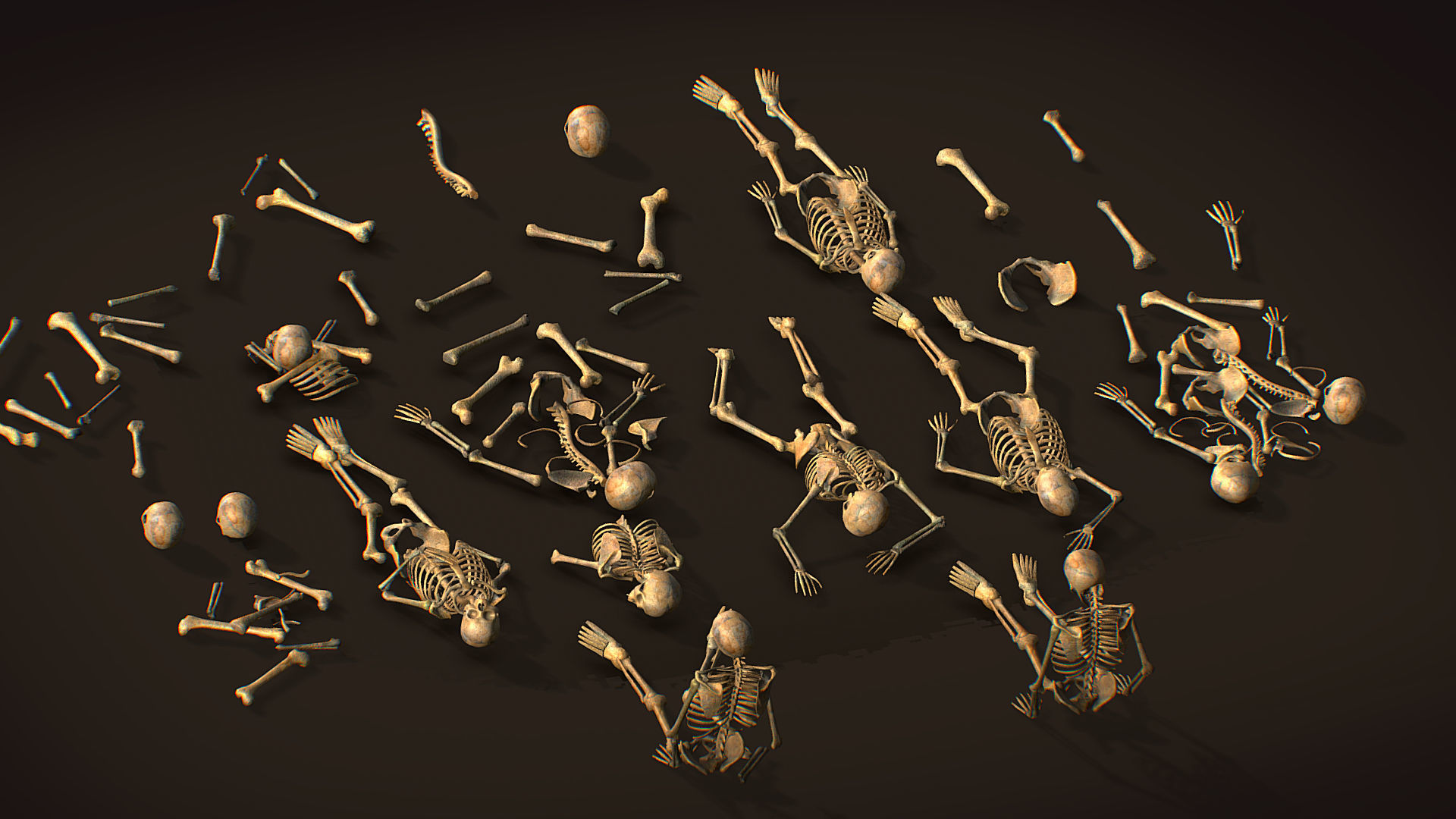 remains skeleton bone big pack 3d model Low-poly 3D model_3