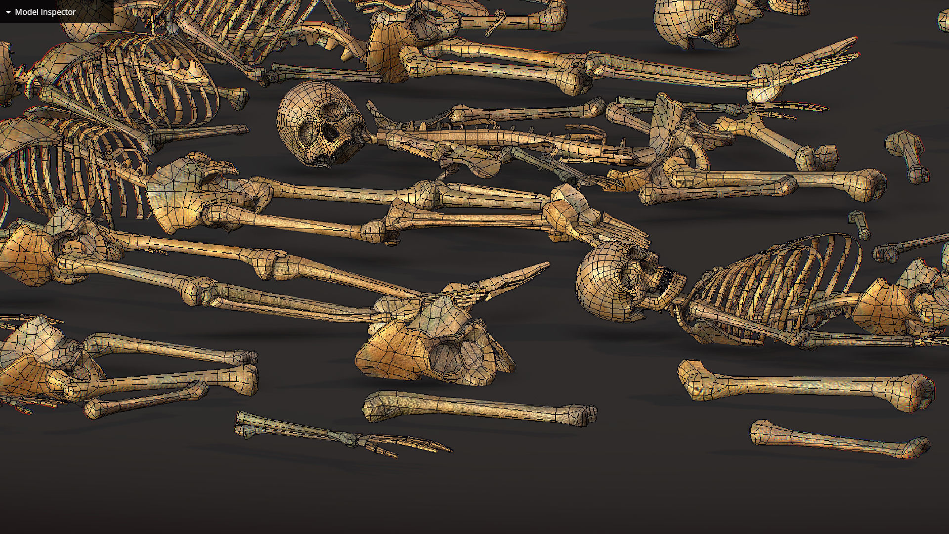 remains skeleton bone big pack 3d model Low-poly 3D model_34