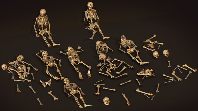 remains skeleton bone big pack 3d model Low-poly 3D model