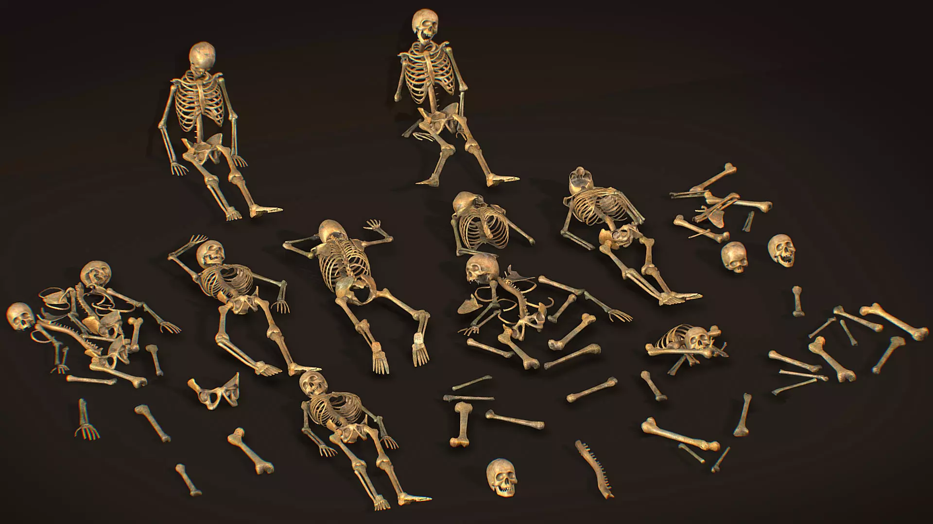 remains skeleton bone big pack 3d model Low-poly 3D model_0
