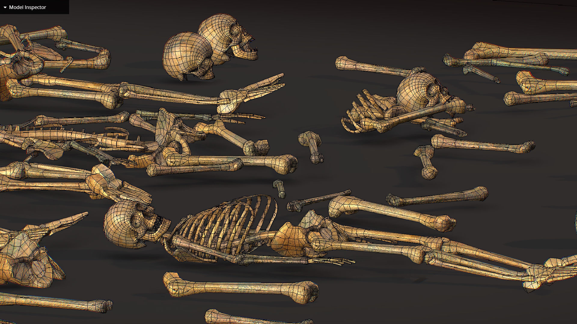 remains skeleton bone big pack 3d model Low-poly 3D model_37