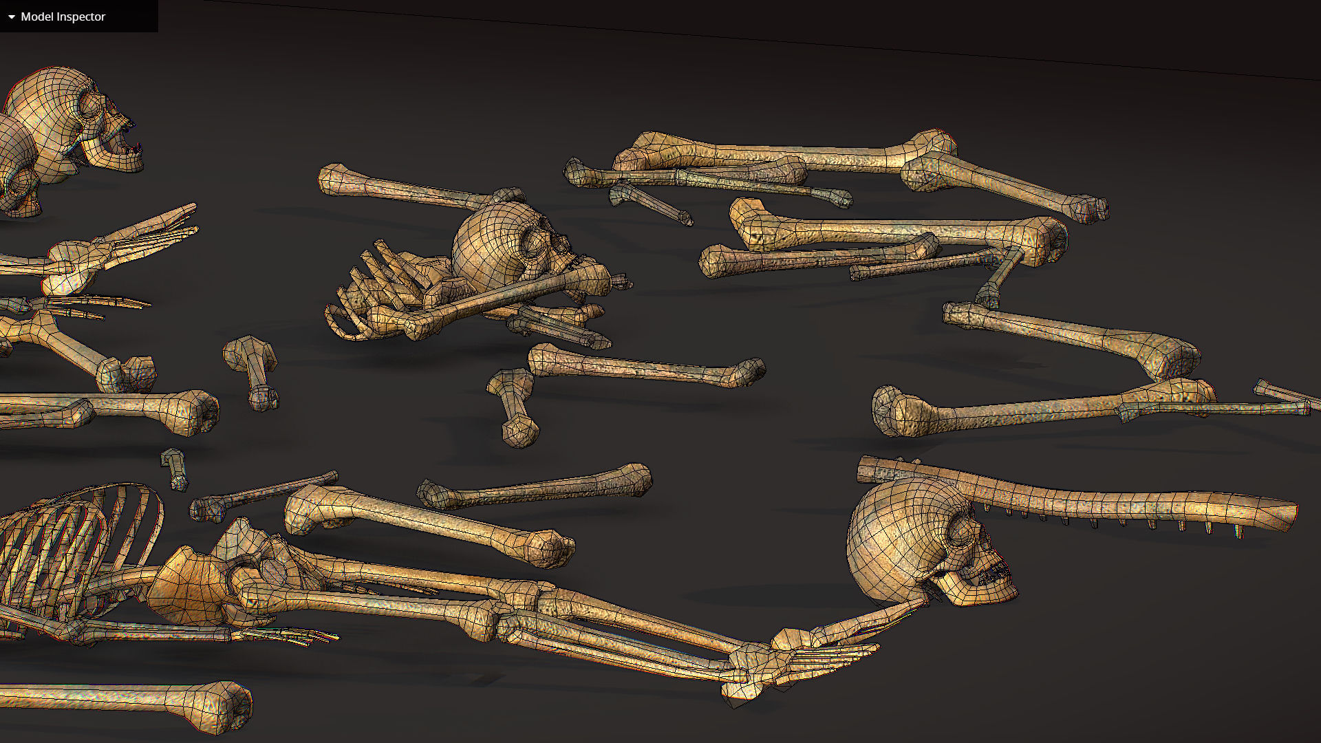 remains skeleton bone big pack 3d model Low-poly 3D model_35