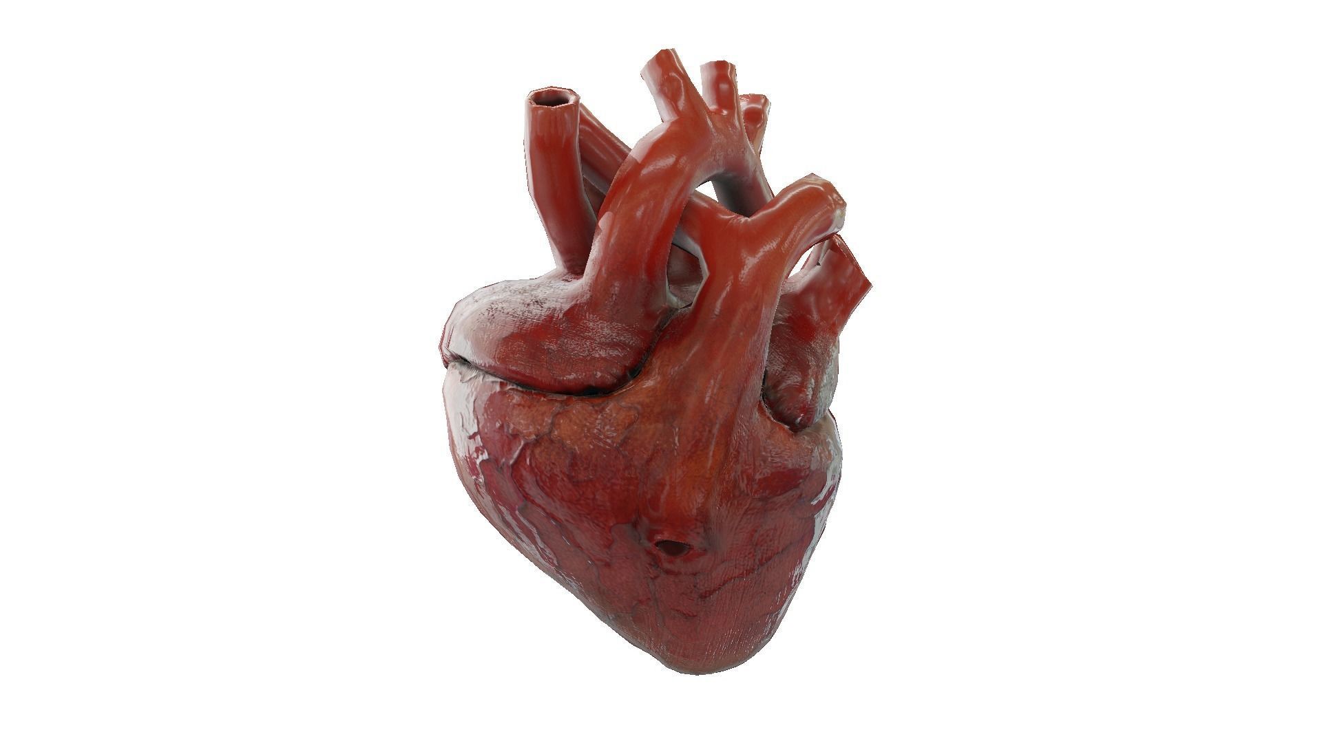 Rigged and Animated Low Poly Human Heart Low-poly 3D model_1