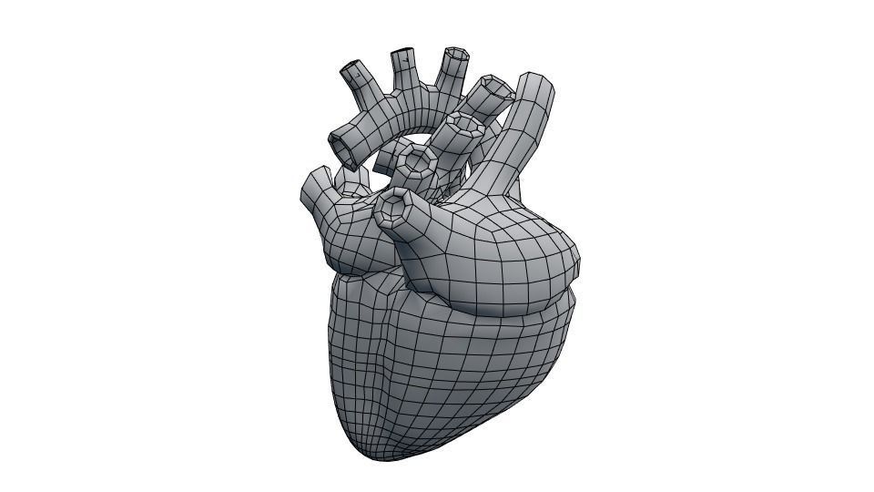 Rigged and Animated Low Poly Human Heart Low-poly 3D model_9