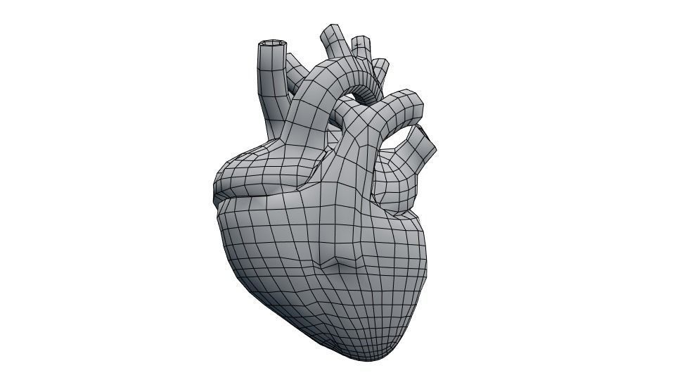 Rigged and Animated Low Poly Human Heart Low-poly 3D model_7