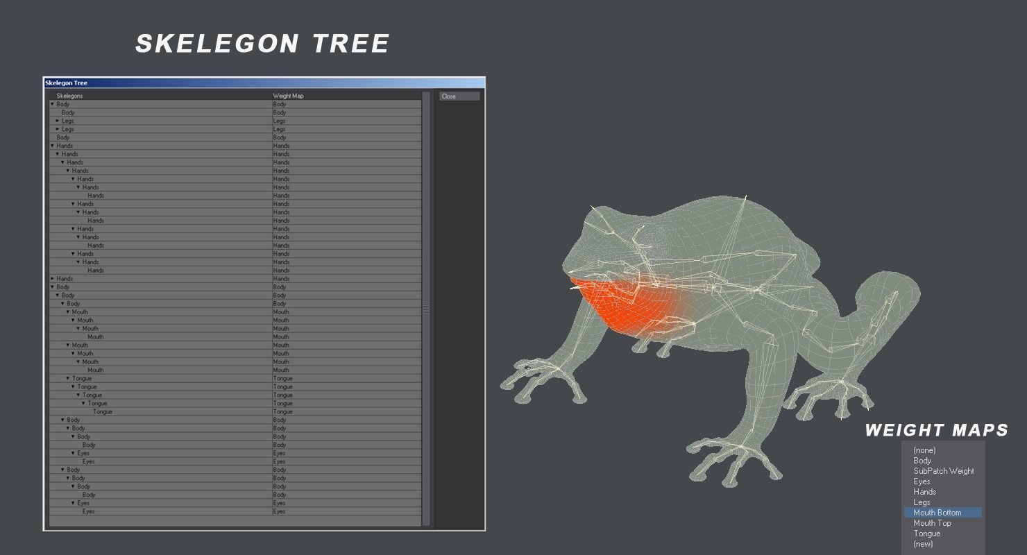 Frog Green 3D model_11