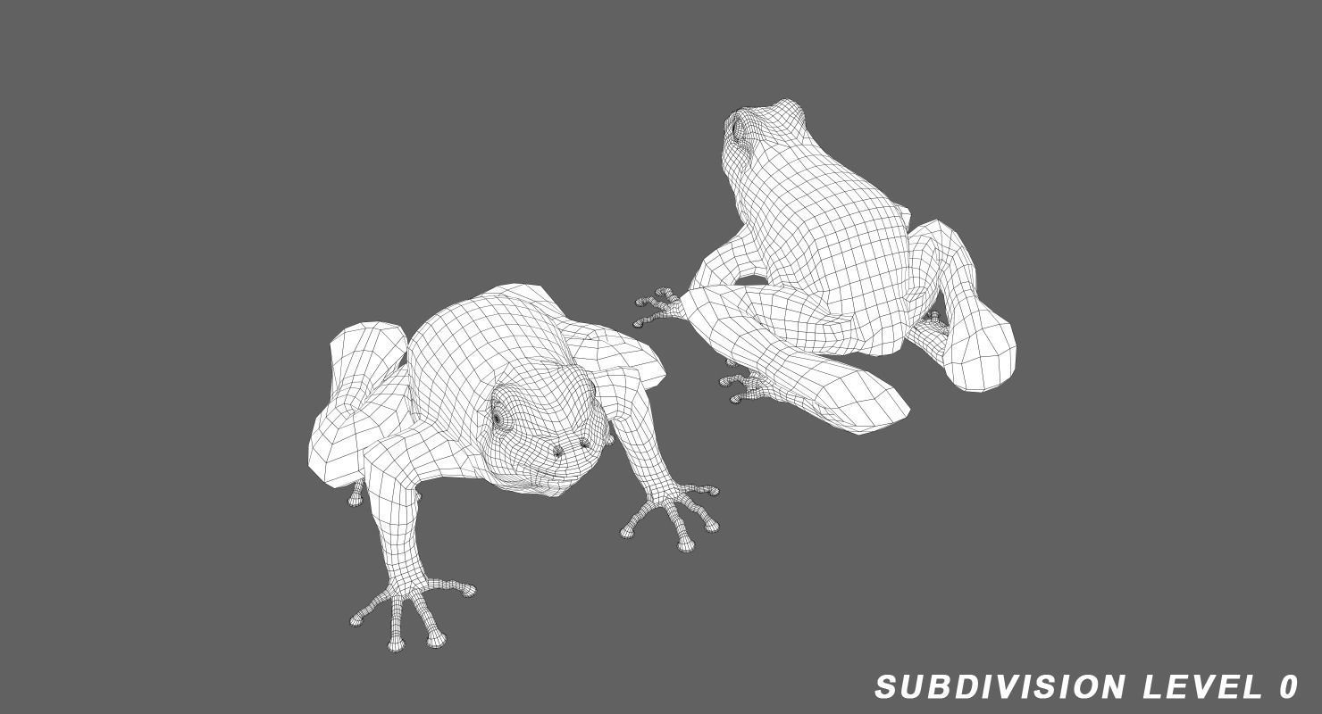 Frog Green 3D model_7