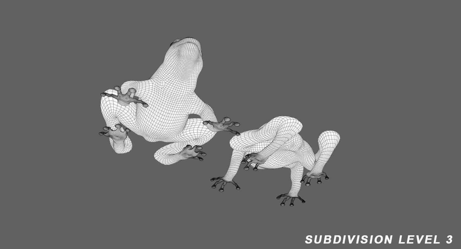 Frog Green 3D model_10