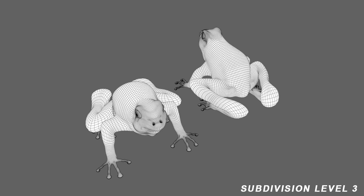 Frog Green 3D model_8