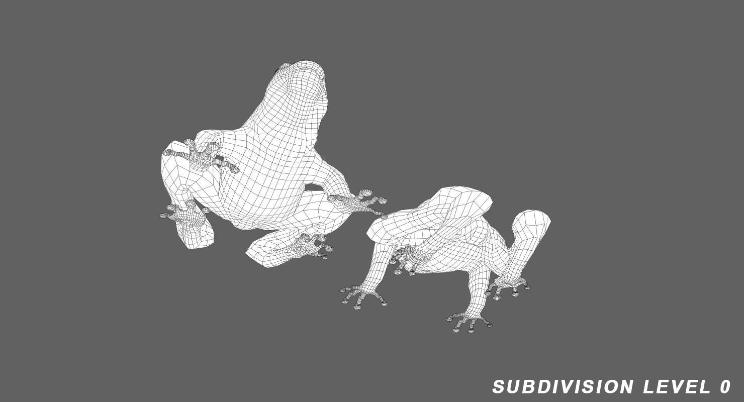 Frog Green 3D model_9