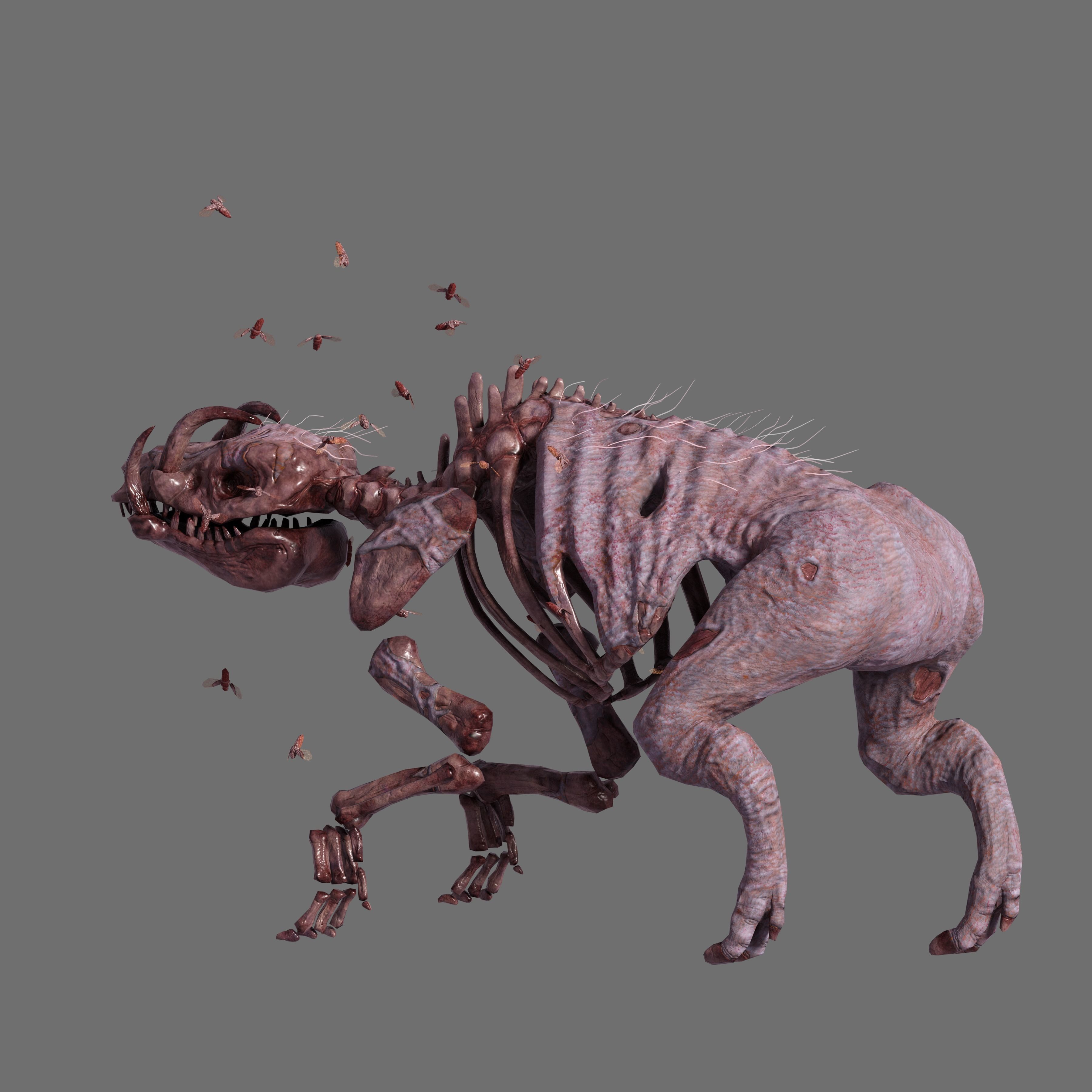 Undead Boar Skeleton Low-poly 3D model_6