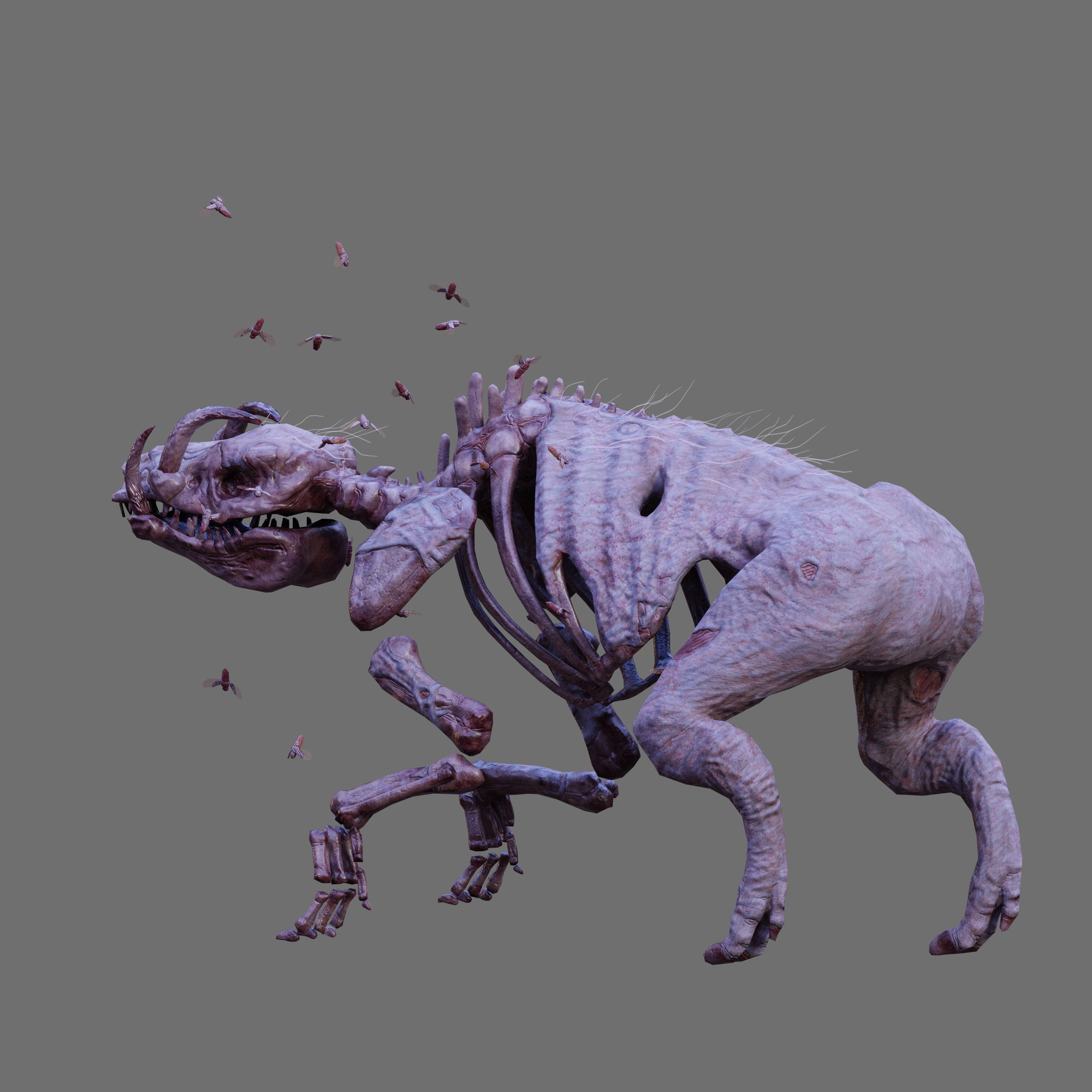 Undead Boar Skeleton Low-poly 3D model_3