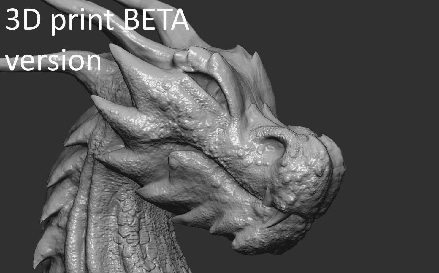 Fantasy Dragon Head high and lowpoly and 3d-print Free low-poly 3D model_28