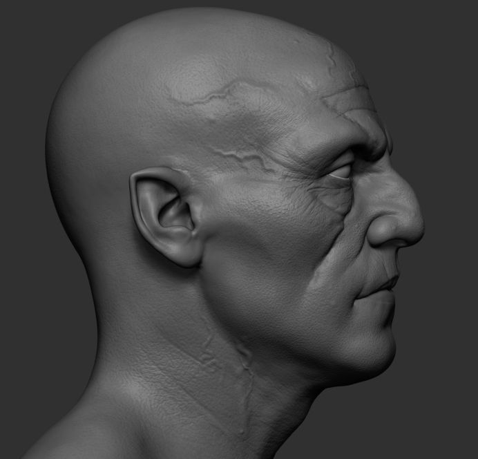 Jaw Head v2 3D model_2
