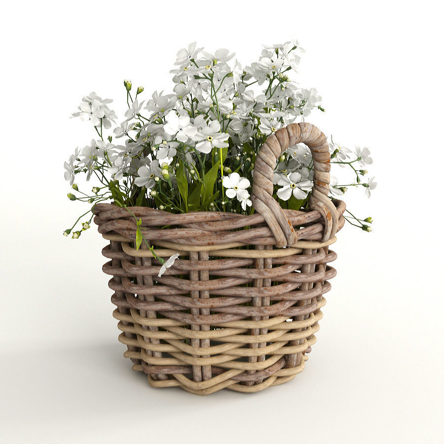 Flowers in a basket 3D model_1