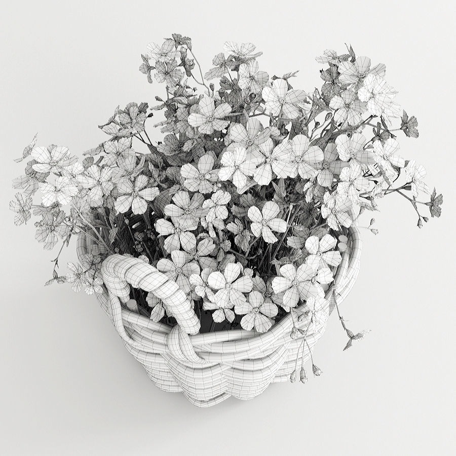 Flowers in a basket 3D model_8