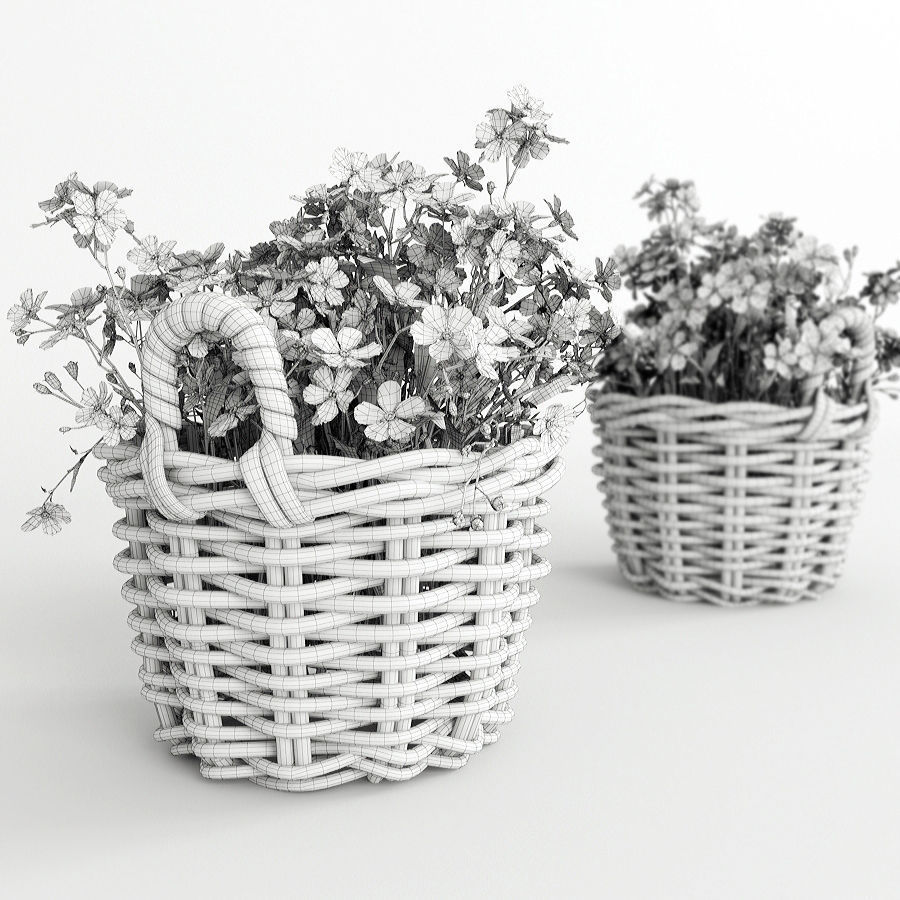 Flowers in a basket 3D model_6