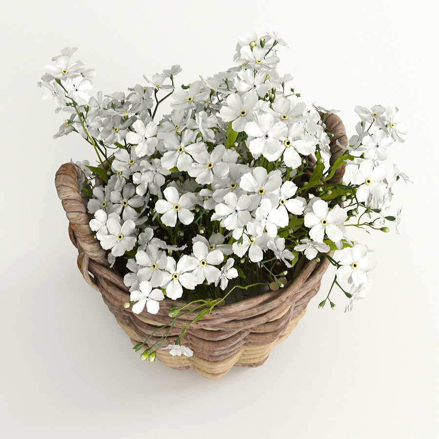 Flowers in a basket 3D model_5
