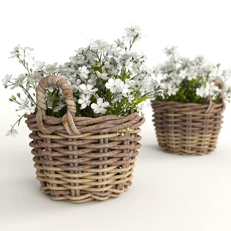 Flowers in a basket 3D model_0