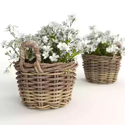 Flowers in a basket