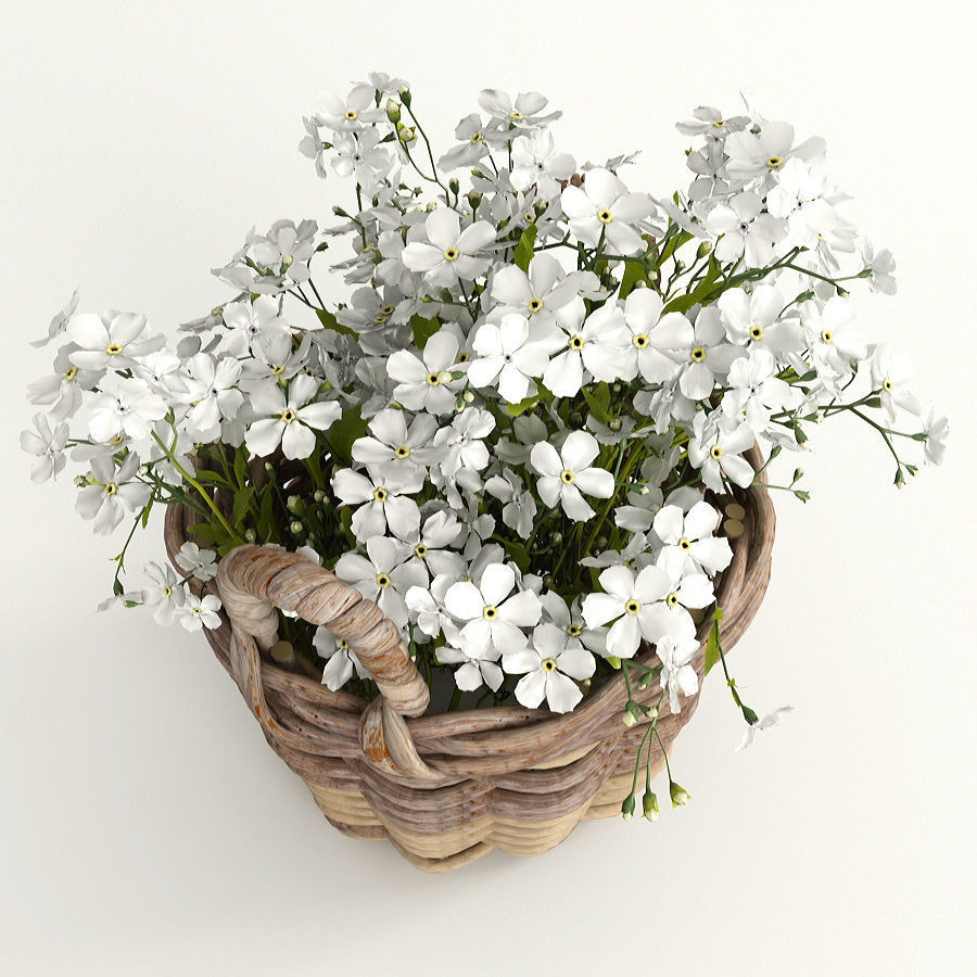 Flowers in a basket 3D model_4